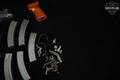 CZ Skorpion Vz. 61 Parts Kit in Very Good Condition Image 4