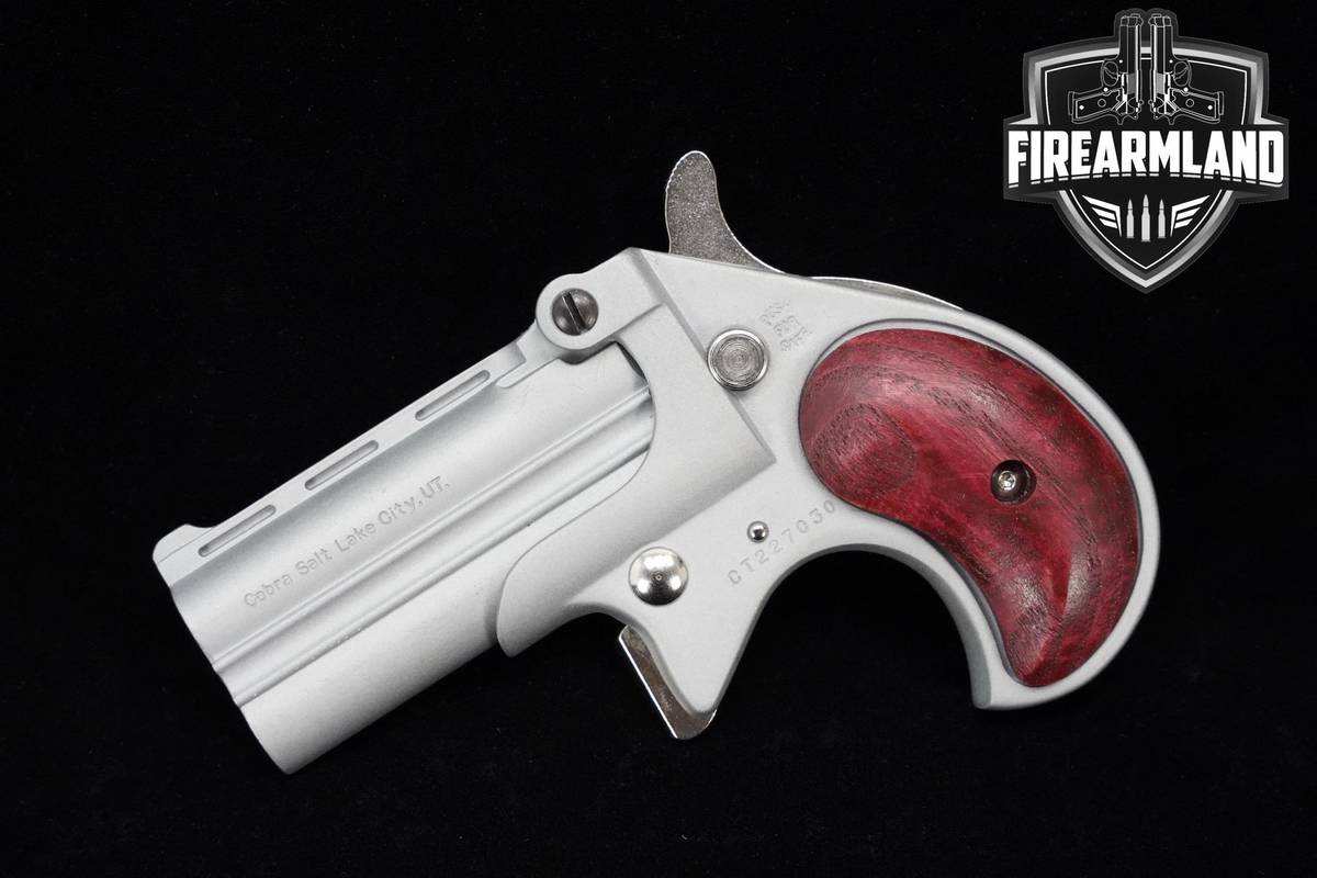 Cobray CB9 9mm 2.75" Satin Nickel CB 9 +HOLSTER