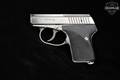 L.W. Seecamp (LW Seecamp) LWS 380 .380 ACP Two-Tone Stainless in Excellent Condition Image 5