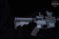 Smith & Wesson (S&W) M&P-15 Sport II 5.56mm NATO Anodized in Excellent Condition Image 4