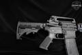Bushmaster XM15-E2S 5.56mm NATO (.223 Rem.) Black Anodized in Very Good Condition Image 4