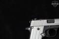 Sig Sauer P238 TWO TONE CALIFORNIA .380 ACP Two-Tone in Excellent Condition Image 5