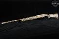 Stoeger Industries M3000 12 Gauge Realtree Max-5 in Very Good Condition Image 2