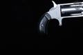 Freedom Arms Mini Revolver 22LR/22Mag Stainless Steel in Excellent Condition Image 3