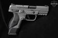 2021 Sturm Ruger American 9mm Luger (9x19 Para) Elite Concrete Cerakote in Excellent Condition Image 3