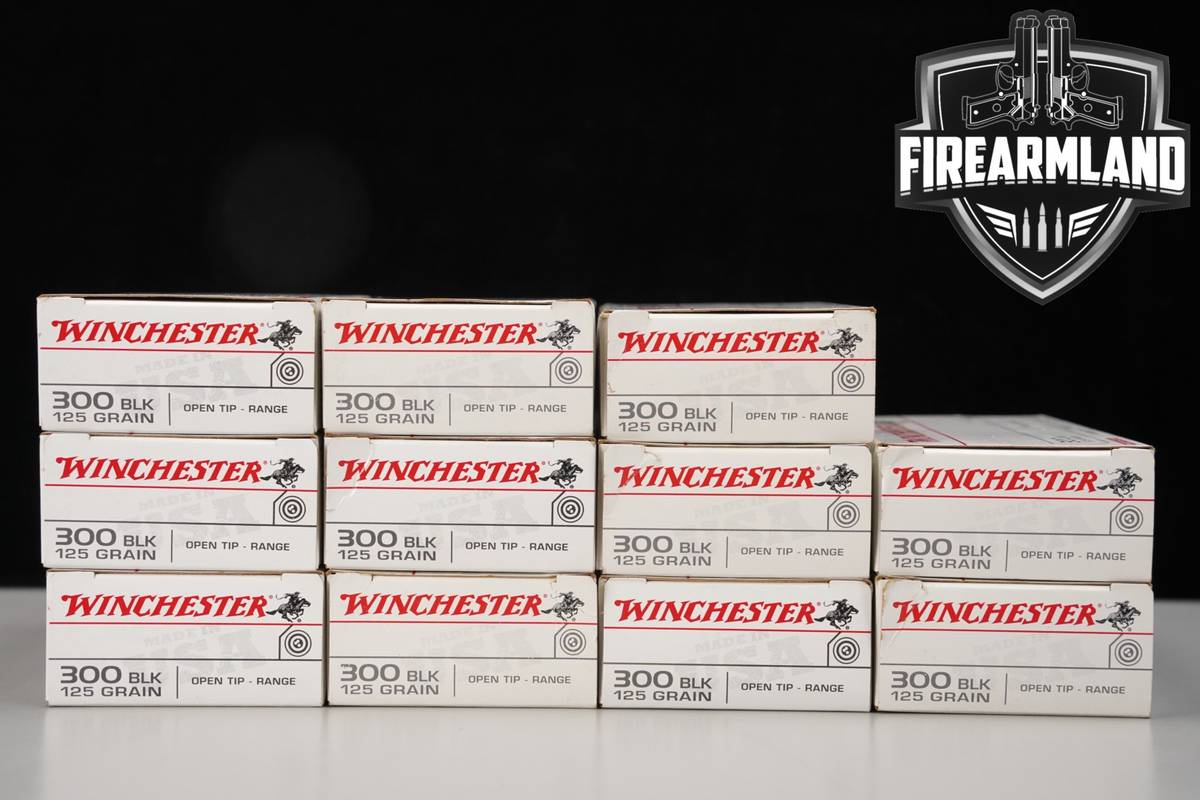 220 RDS! 300 Blackout Ammo BLK-AAC