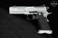 Fusion Firearms XP-PRO Comp 9mm Luger Two-Tone Silver & Black in Excellent Condition Image 3