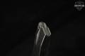 Archon Firearms ELEVEN (11) Type B 15 Round Magazines 9mm Luger in Very Good Condition Image 4