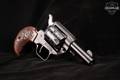 Heritage Manufacturing Co. Barkeep .22 LR Black in Good Condition Image 2