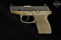 Kel-Tec P-11 9mm Luger Two-Tone Blued & Green in Fair Condition Image 4