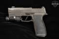 Sig Sauer P365-AXG Legion 9mm Luger Legion Gray in Excellent Condition Image 3