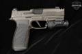 Sig Sauer P365-AXG Legion 9mm Luger Legion Gray in Excellent Condition Image 4