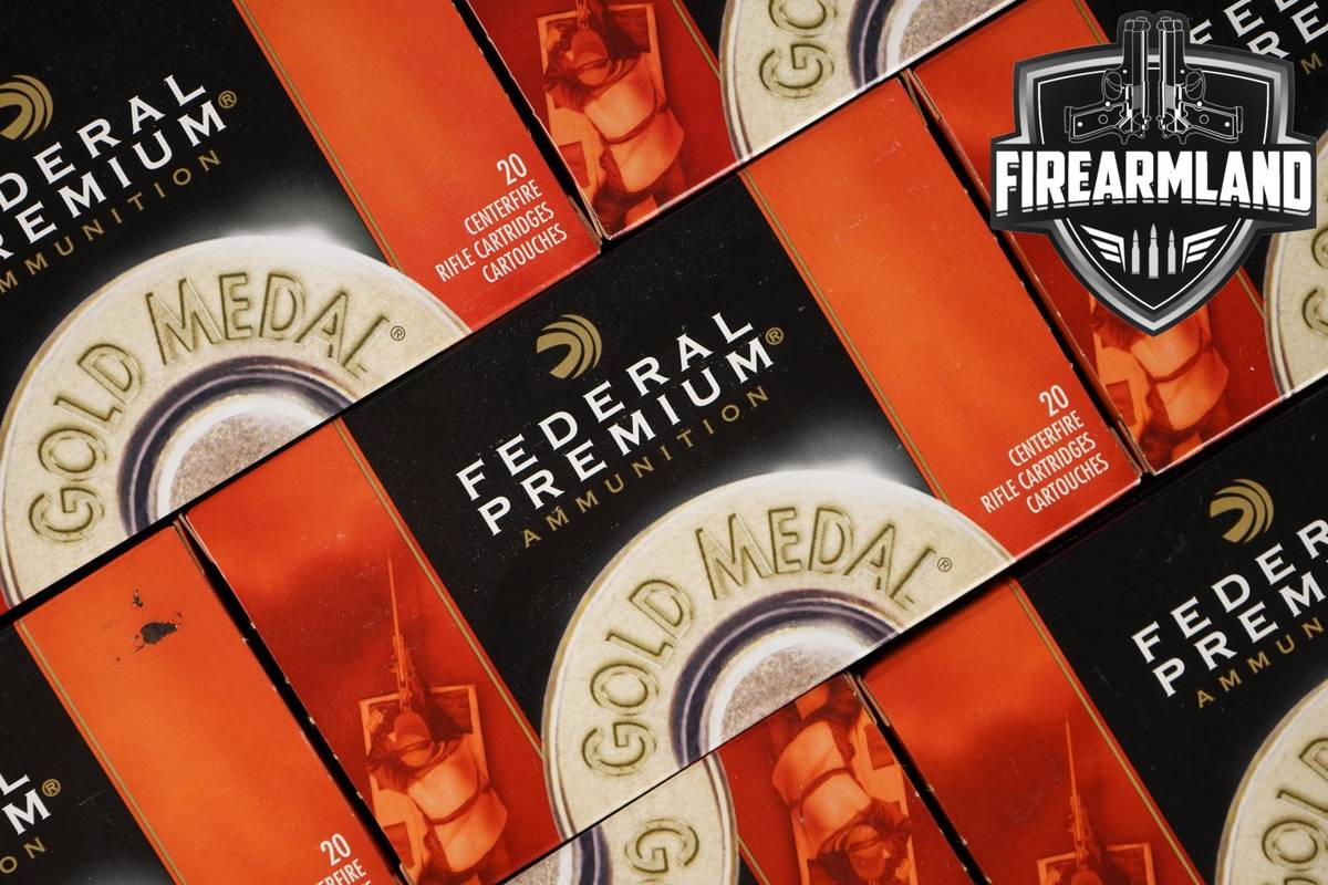 200 RDS! 308 Winchester Ammo Ammunition