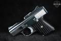 Raven Arms MP-25 .25 ACP (6.35mm) Bright Plated in Excellent Condition Image 3