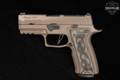 Sig Sauer P320 AXG Scorpion, Custom Works 9mm Luger Coyote Tan in Good Condition Image 2