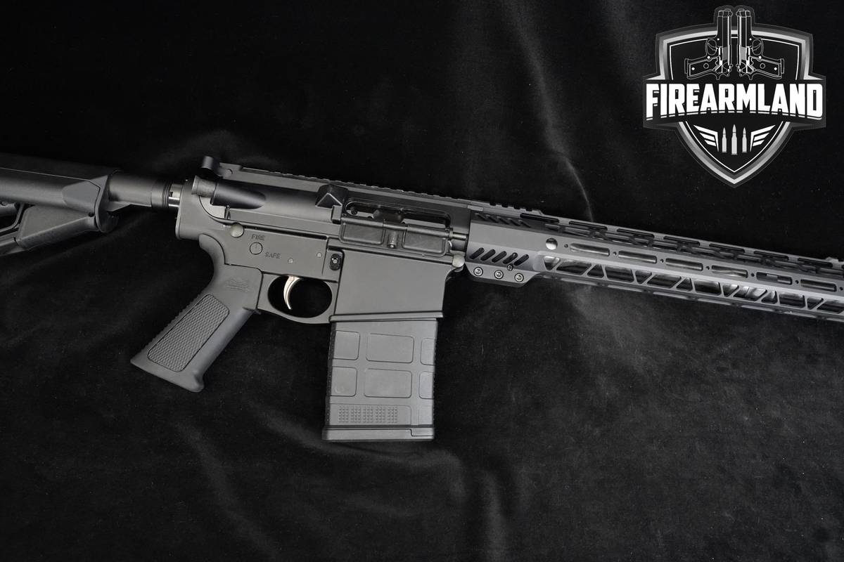 Palmetto State Armory (PSA) G3-10 Gen3 308 Win PSA G3-10 Gen-3 PA-10 2 MAGS