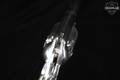 F.lli Pietta 1858 Remington New Model Army .44 Bright Stainless in Very Good Condition Image 5