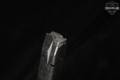 Archon Firearms TEN (10) Type B 15 Round Magazines 9mm Luger in Very Good Condition Image 4