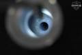 Allen Engineering AEM5-30 .30 caliber in Very Good Condition Image 5