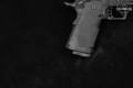 Springfield Armory Prodigy DS AOS 9mm Luger Black Cerakote in Excellent Condition Image 4