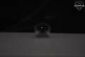 Leupold DeltaPoint Matte Black in Very Good Condition Image 2
