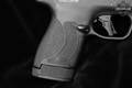 Smith & Wesson (S&W) M&P9 Shield Plus TS 9mm Luger Armornite in Excellent Condition Image 4