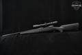 Savage Arms Model 10 .308 Win. Blued in Excellent Condition Image 2