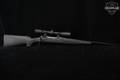 Savage Arms Model 10 .308 Win. Blued in Excellent Condition Image 3