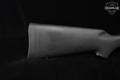 Savage Arms Model 10 .308 Win. Blued in Excellent Condition Image 4