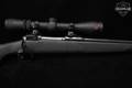 Savage Arms Model 10 .308 Win. Blued in Excellent Condition Image 5