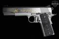 2023 Kimber Ducks Unlimited 1911 .45 ACP Stainless Steel in Excellent Condition Image 5