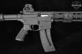 Smith & Wesson (S&W) M&P-15-22 .22 LR Black in Excellent Condition Image 5