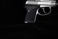 L.W. Seecamp (LW Seecamp) LWS-32 .32 ACP Stainless Steel in Excellent Condition Image 3