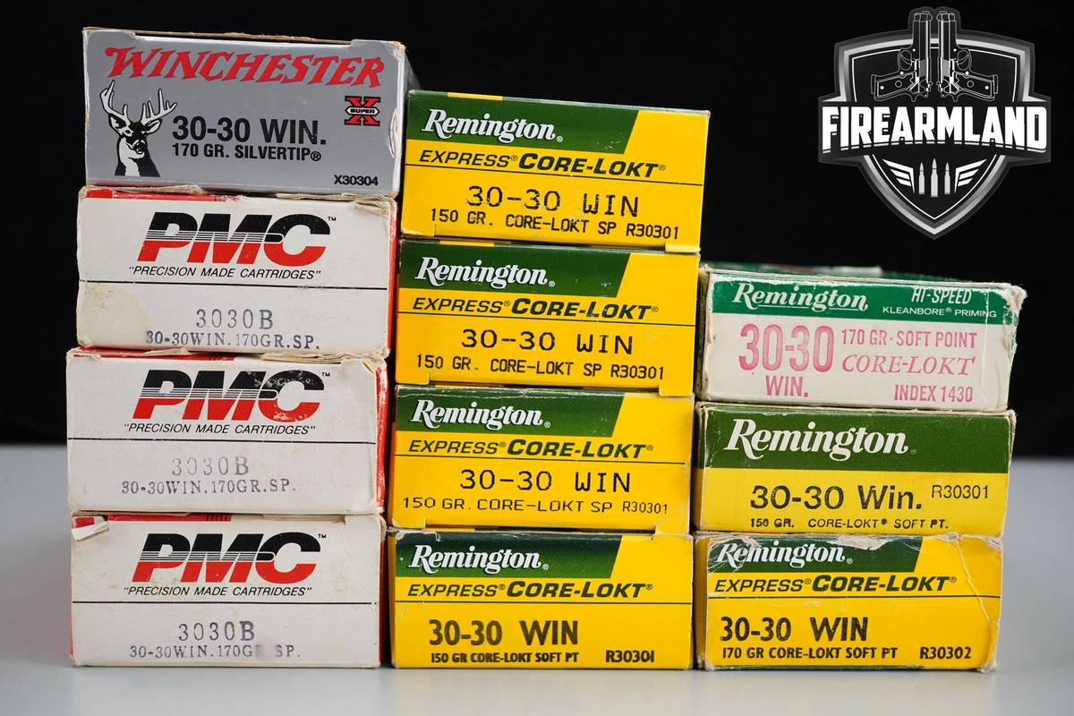 220 RDS! 30-30 Winchester Win Ammo