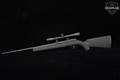 Savage Arms Model A22 .22 LR Black in Very Good Condition Image 2