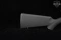 Savage Arms Model A22 .22 LR Black in Very Good Condition Image 4