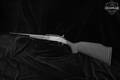 2000 New England Firearms (NEF) Sportster .17 HMR Black in Very Good Condition Image 2