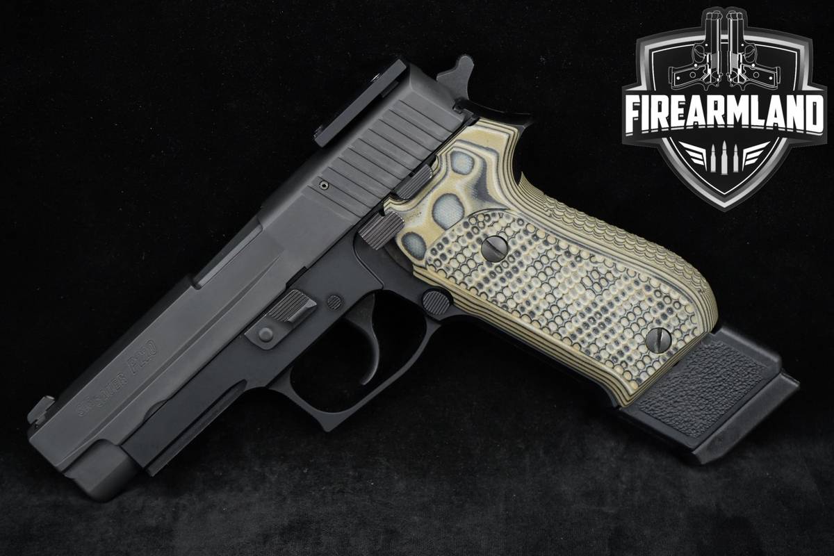 2022 Sig Sauer P220 Nitron P-220 R BSS 45 ACP 4.4" +10 MAGS & ORIG CASE