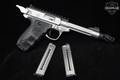 Smith & Wesson (S&W) SW22 Victory Performance Center PC .22 LR Silver in Like-New Condition Image 2