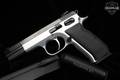 2009 Tanfoglio Witness Match 10mm Stainless Steel in Excellent Condition Image 2