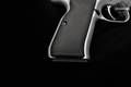 2009 Tanfoglio Witness Match 10mm Stainless Steel in Excellent Condition Image 3