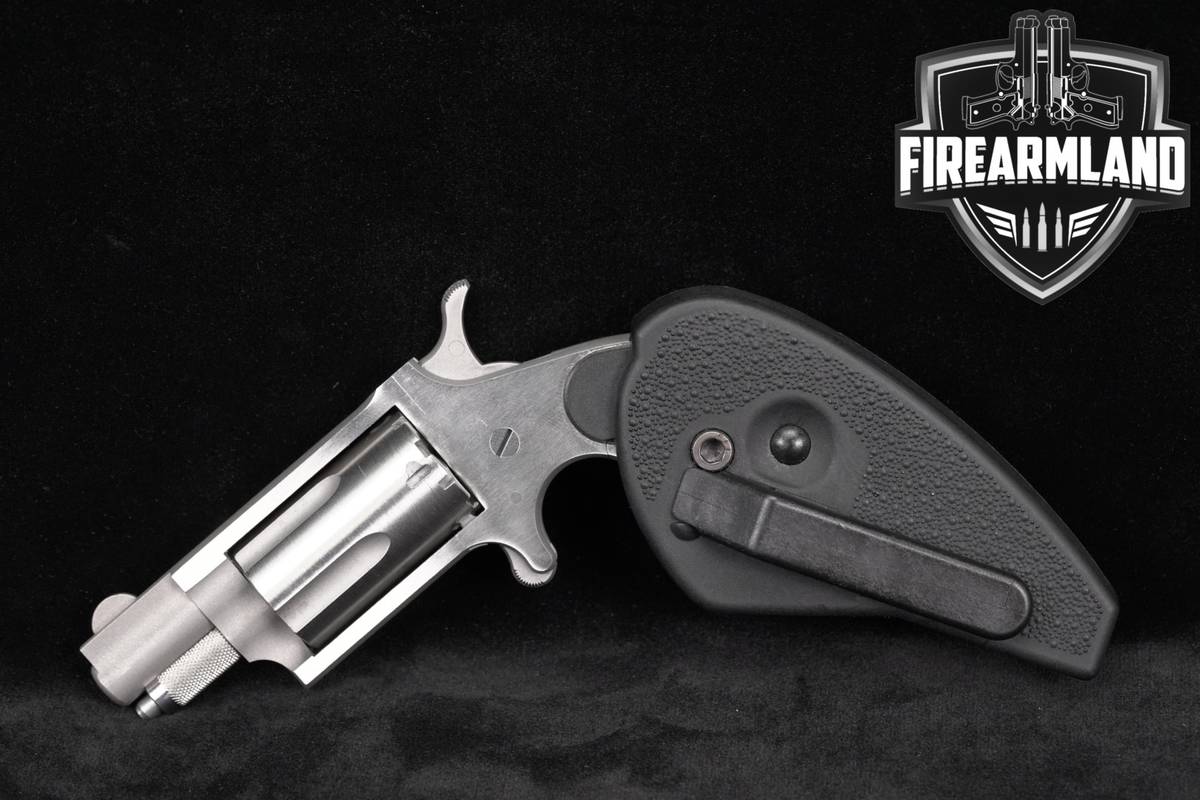 North American Arms NAA-22MS Mini-Revolver 22 WMR 1.125" Stainless