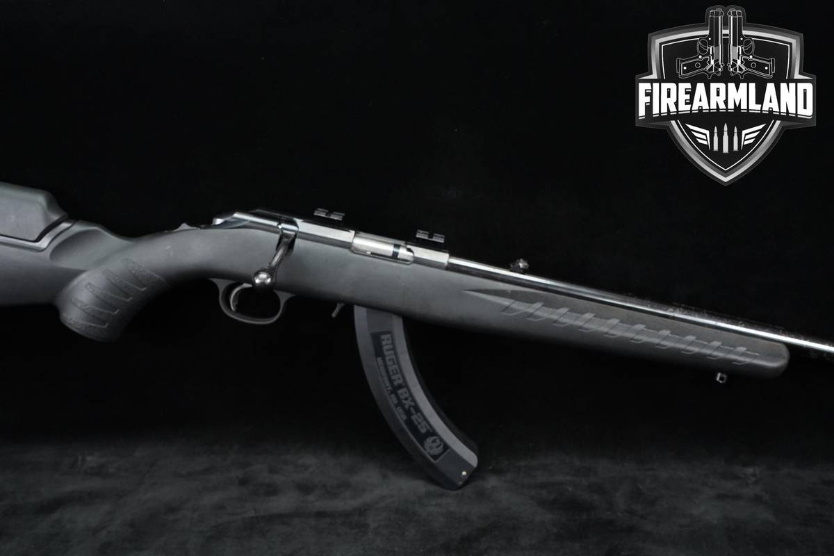 SMALL GAME! Ruger American Rimfire Standard 22LR 22" Satin Blued