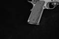 Tisas USA Nightstalker 9mm Luger Platinum Gray Cerakote in Very Good Condition Image 4