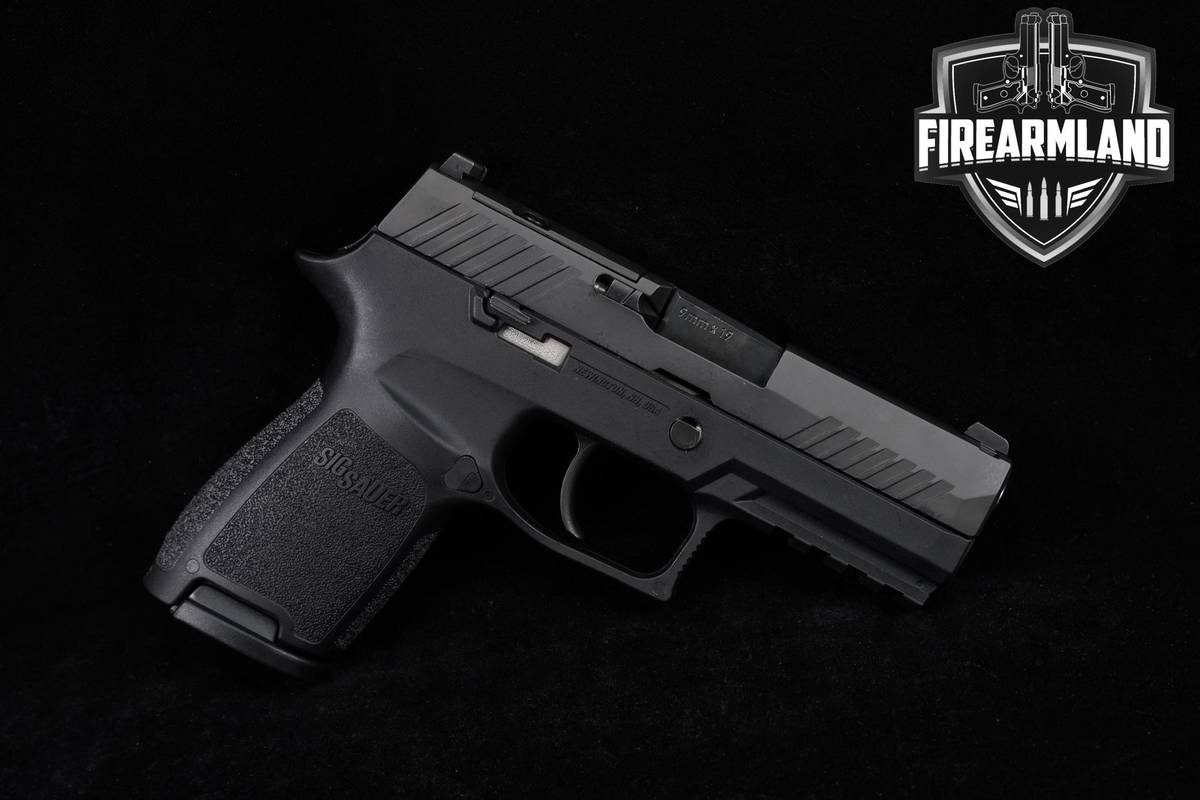 Sig Sauer P320 Compact 9mm 3.9" P-320 +2 MAGS & ORIG CASE