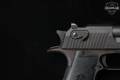 Magnum Research Desert Eagle MK XIX .44 Mag. Black Oxide in Very Good Condition Image 5