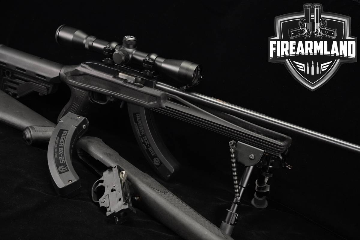 Ruger Model 10/22 Carbine 22LR 1022 +2 MAGS, BARSKA SCOPE, CVLIFE BIPOD