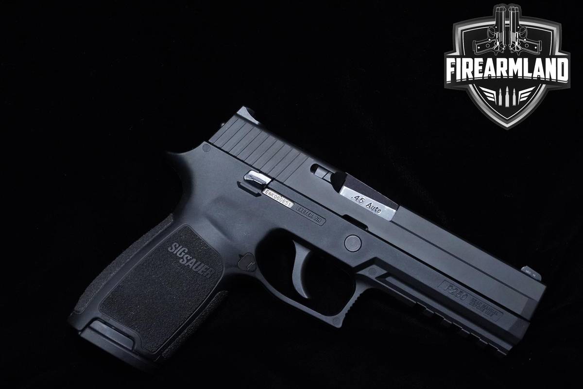 Sig Sauer P250 45 ACP 4.8" Nitron P250 3 MAGS & ORIG CASE