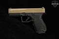 Palmetto State Armory (PSA) Dagger Compact 9mm Luger Two-Tone FDE in Very Good Condition Image 5