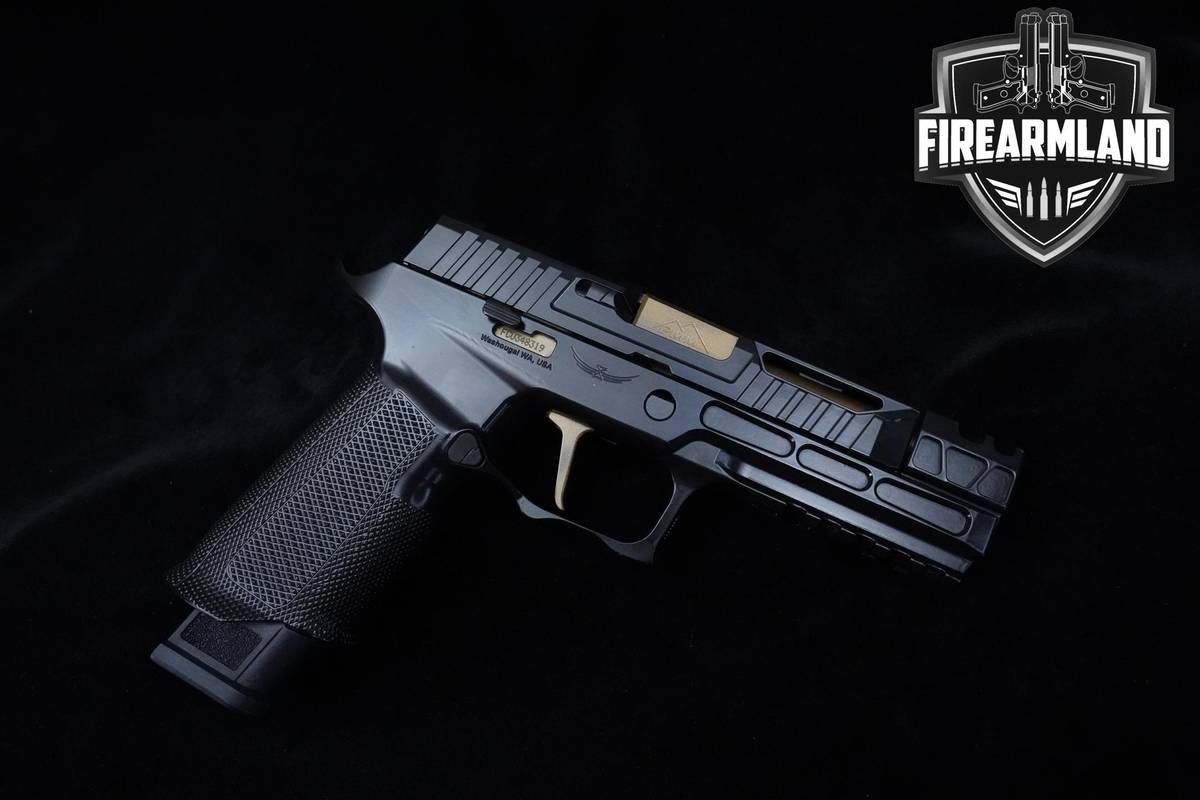 CUSTOM Sig Sauer P320 Icarus Precision 9mm 3.9 P320 P-320 +3 MAGS & HOLSTER